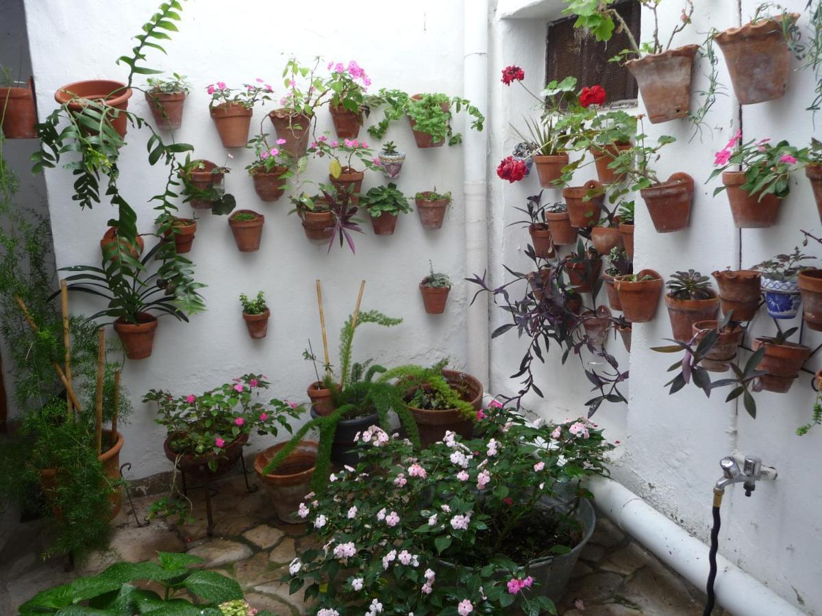 Villa Casa Sol Vejer de la Frontera Exterior foto